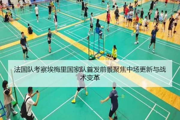 法国队考察埃梅里国家队首发前景聚焦中场更新与战术变革
