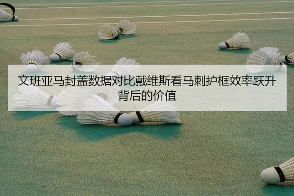 文班亚马封盖数据对比戴维斯看马刺护框效率跃升背后的价值
